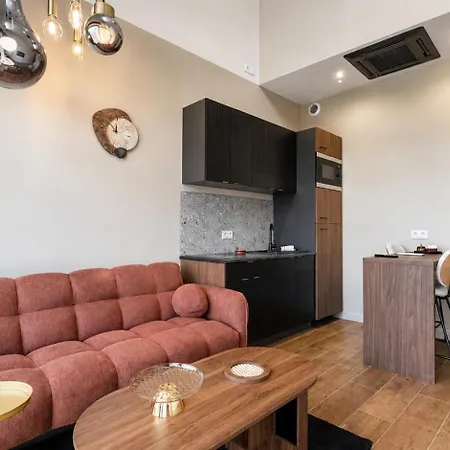Cacatoès - Duplex Design Avec Parking Privé Saint-Etienne (Loire)