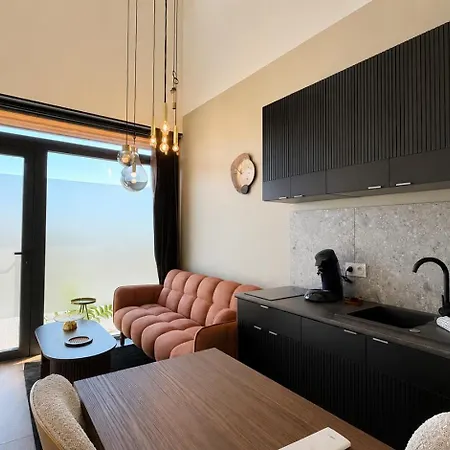 Appartement Cacatoès - Duplex Design Avec Parking Privé Saint-Etienne (Loire)