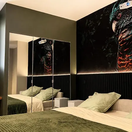 Appartement Cacatoès - Duplex Design Avec Parking Privé Saint-Etienne (Loire)